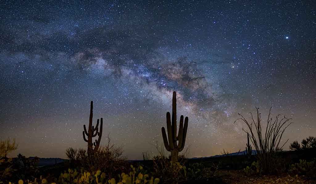Rann Utsav - Gujarat