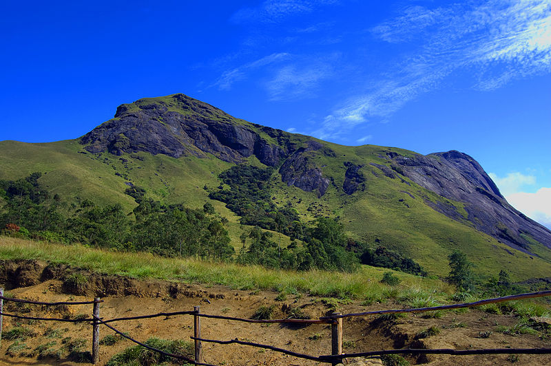 Anamudi peak, Munnar