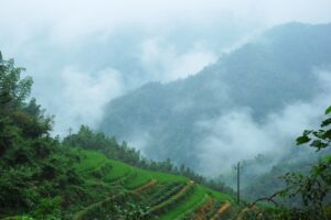 Kausani