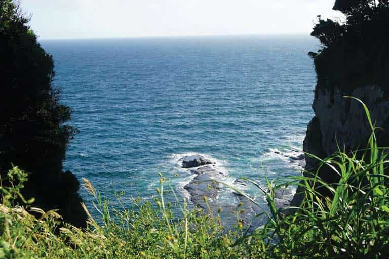 Piyali Island