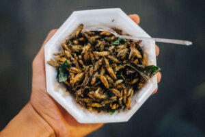 Deep Fried Insects A Fearless Adventure