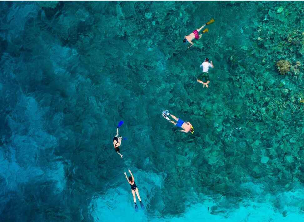 Snorkelling Spots in Maldives