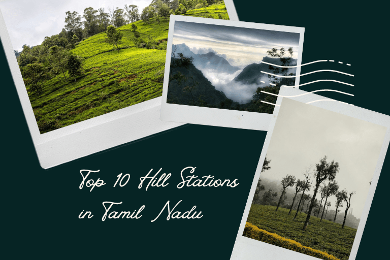 Top 10 Best Hill Station in Tamil Nadu