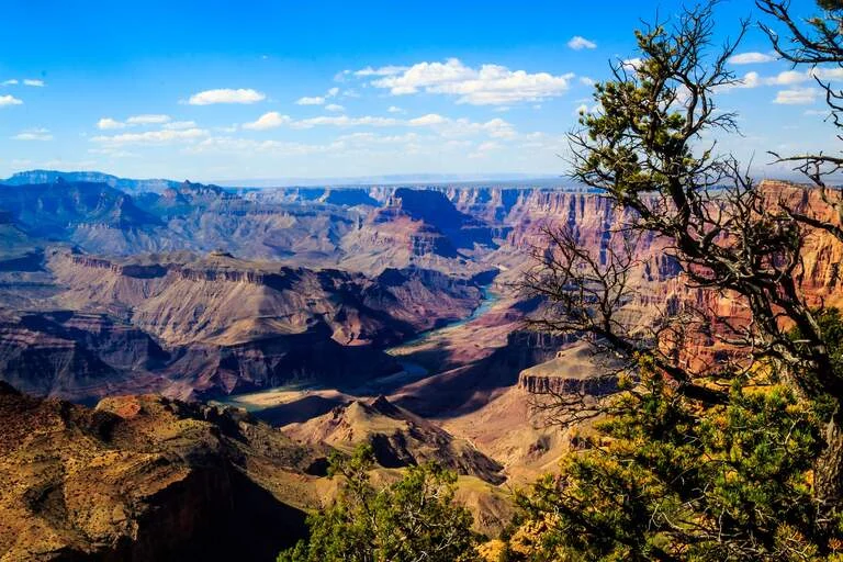 Grand Canyon View