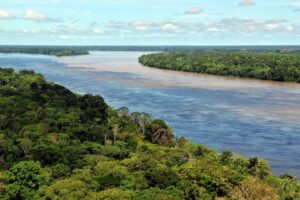 The Amazon Basin