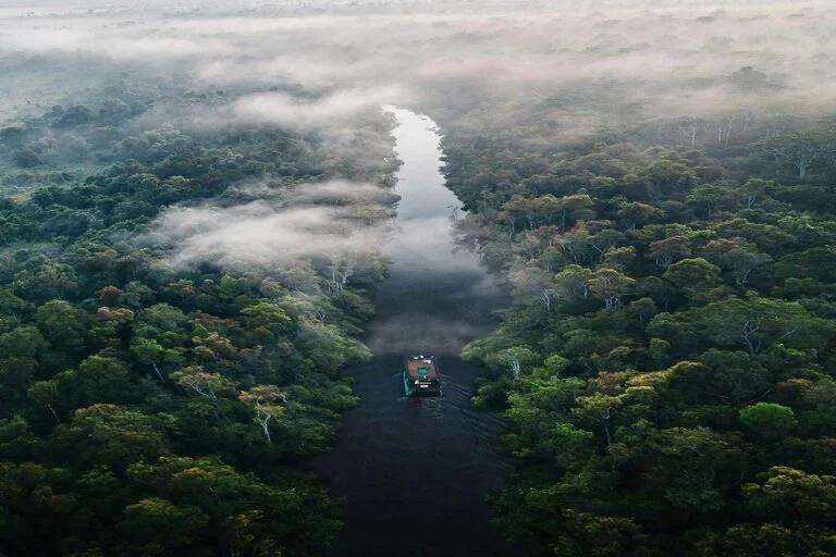 Amazon Rainforest: Wildlife, Tours, Best Places to Visit & Travel Guide