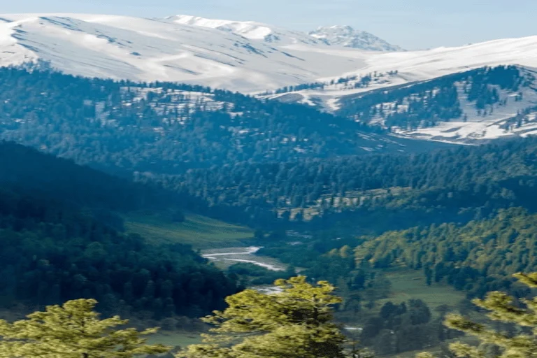 Kashmir 