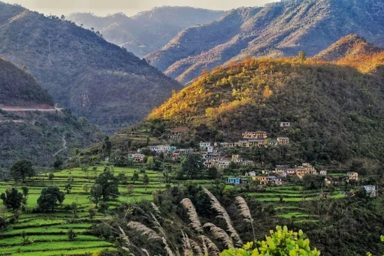 Manali 