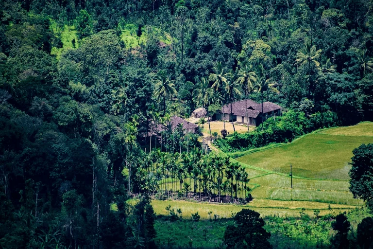 Coorg