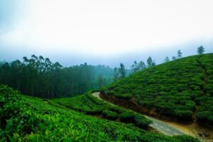 ponmudi