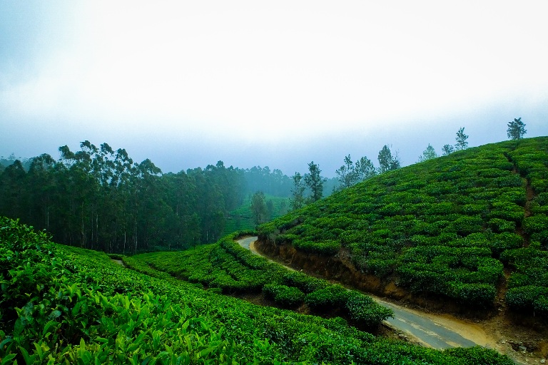 ponmudi