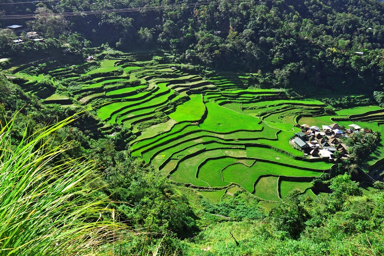 Banaue-Rice-Terraces