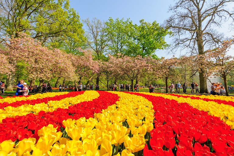 Keukenhof Gardens Netherlands