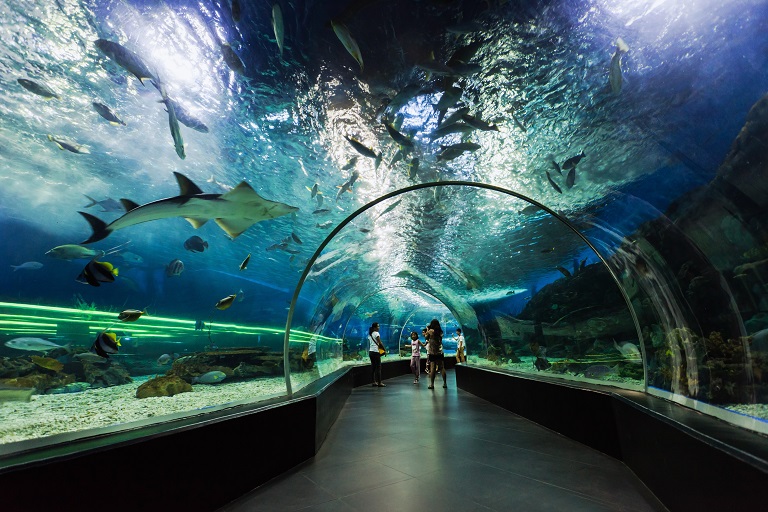 Manila Ocean Park