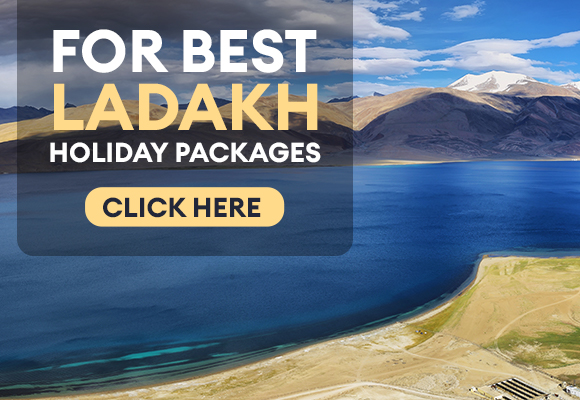 ladakh travel guidelines 2022