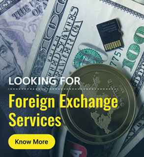 Buy Foreign Exchange