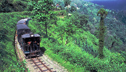 Darjeeling Holiday Packages