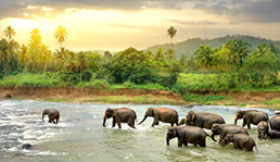 best tourism companies in india