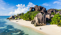 Seychelles
Honeymoon Package