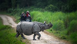 Sri lanka Holiday Packages