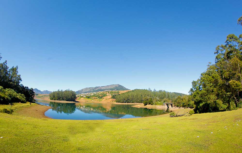 Ooty Honeymoon Packages Ooty Honeymoon Tour Package for Couple