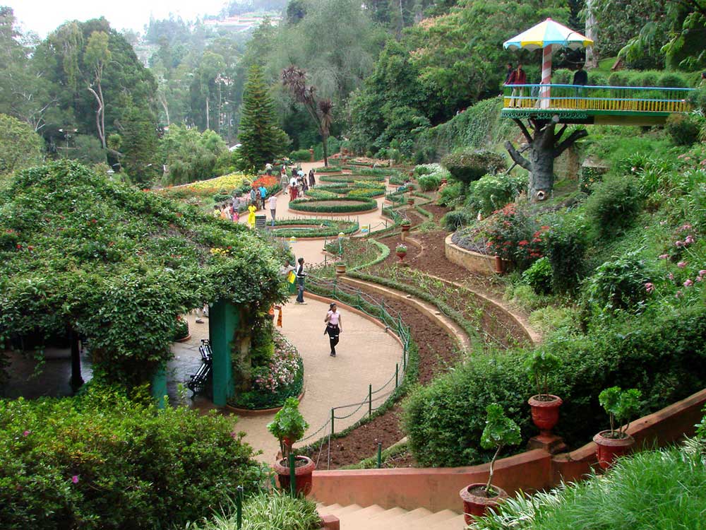 Ooty Honeymoon Packages Ooty Honeymoon Tour Package for Couple